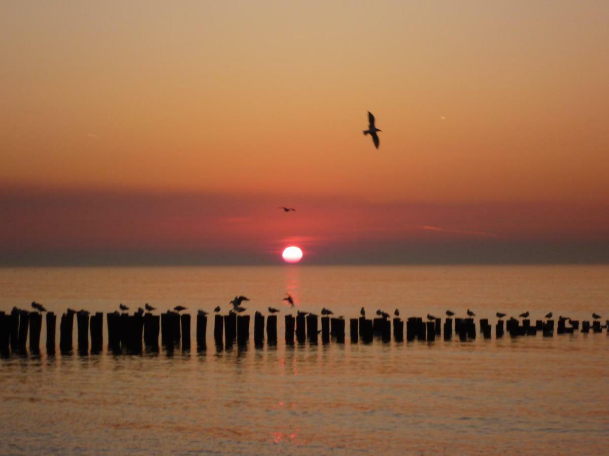 Vakantiehuis Domburg, Kindvriendelijk Do02 エクステリア 写真